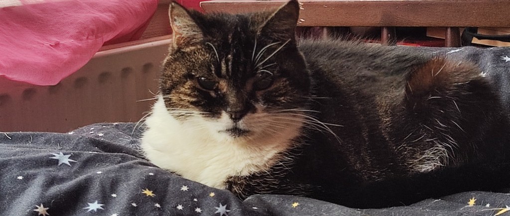 A Eulogy for Little One